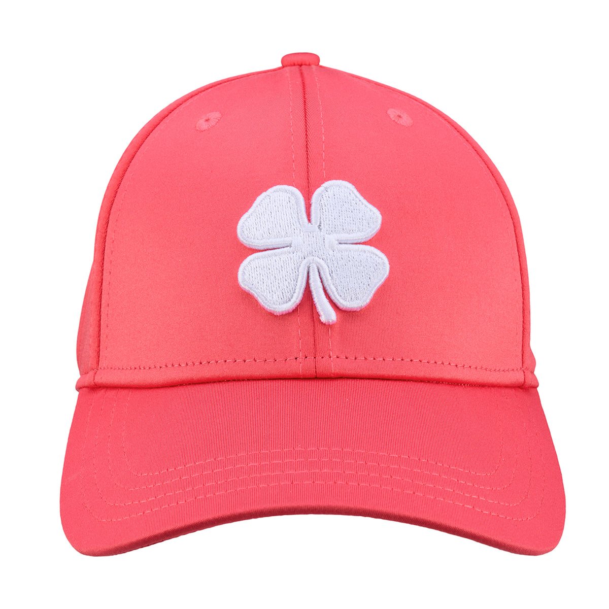 Premium Clover 144