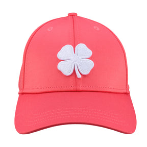 Premium Clover 144