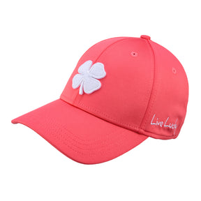 Premium Clover 144