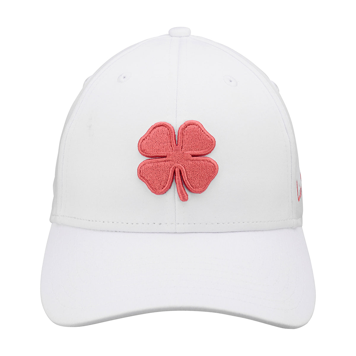 Premium Clover 181